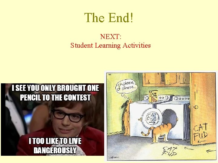 The End! NEXT: Student Learning Activities 