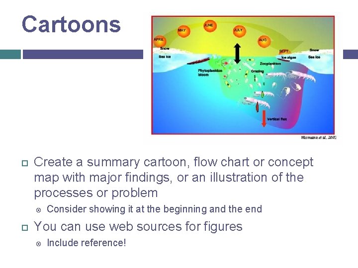 Cartoons Create a summary cartoon, flow chart or concept map with major findings, or