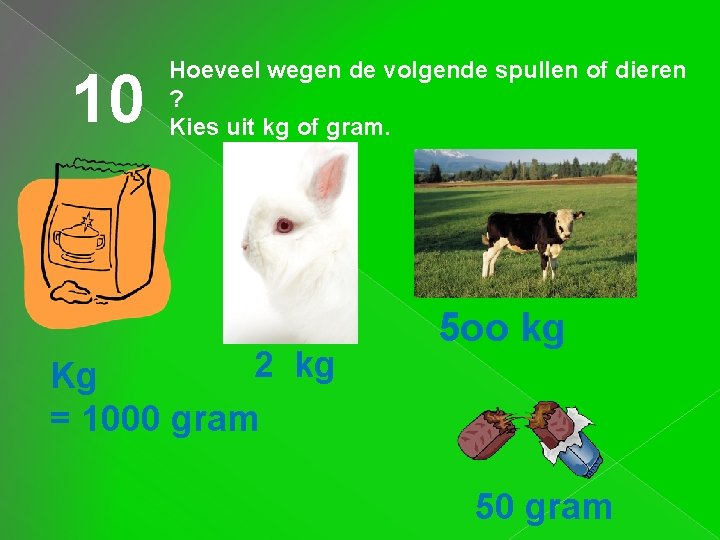 10 Hoeveel wegen de volgende spullen of dieren ? Kies uit kg of gram. 10 Hoeveel wegen de volgende spullen of dieren ? Kies uit kg of gram.