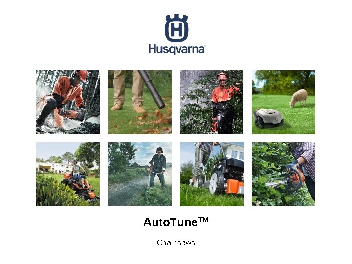 Auto. Tune. TM Chainsaws 