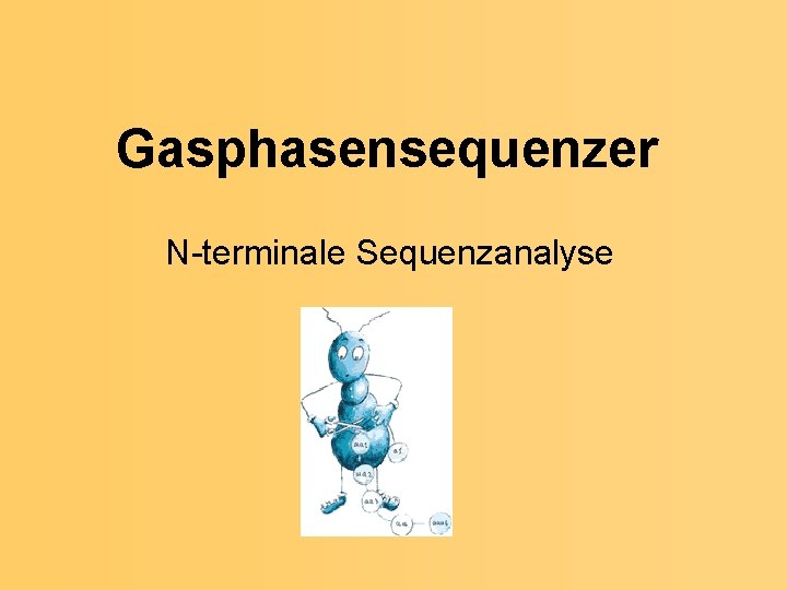 Gasphasensequenzer N-terminale Sequenzanalyse 