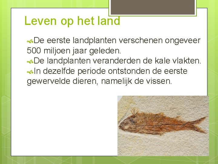 Leven op het land De eerste landplanten verschenen ongeveer 500 miljoen jaar geleden. De