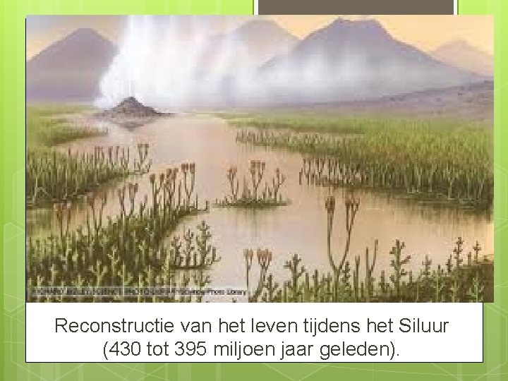 Reconstructie van het leven tijdens het Siluur (430 tot 395 miljoen jaar geleden). 