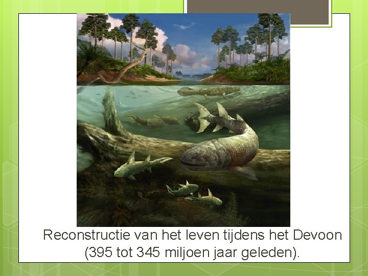 Reconstructie van het leven tijdens het Devoon (395 tot 345 miljoen jaar geleden). 