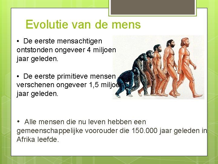 Evolutie van de mens • De eerste mensachtigen ontstonden ongeveer 4 miljoen jaar geleden.