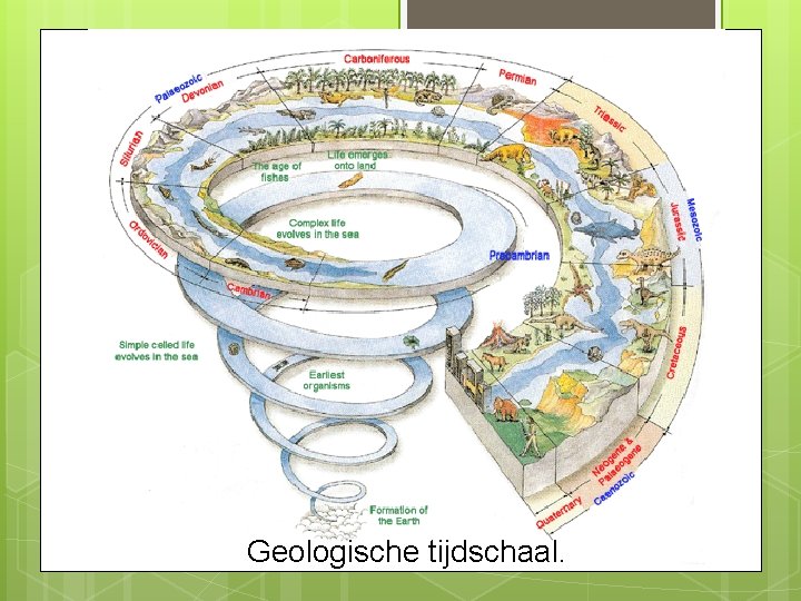 Geologische tijdschaal. 