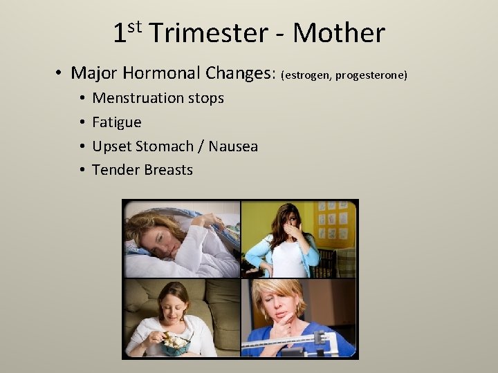 st 1 Trimester - Mother • Major Hormonal Changes: (estrogen, progesterone) • • Menstruation