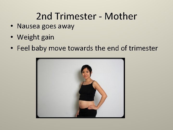 2 nd Trimester - Mother • Nausea goes away • Weight gain • Feel