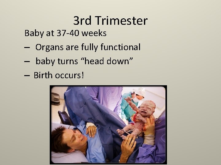 3 rd Trimester Baby at 37 -40 weeks – Organs are fully functional –