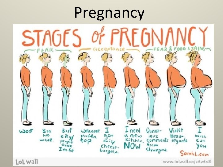 Pregnancy 