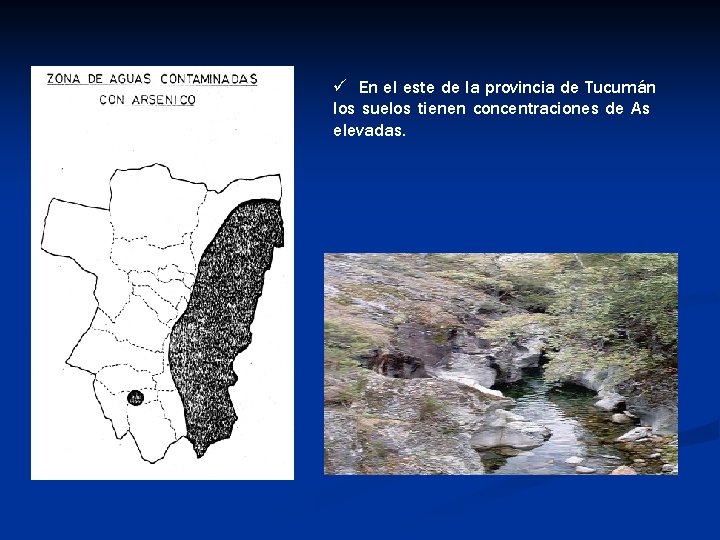 ü En el este de la provincia de Tucumán los suelos tienen concentraciones de ü En el este de la provincia de Tucumán los suelos tienen concentraciones de