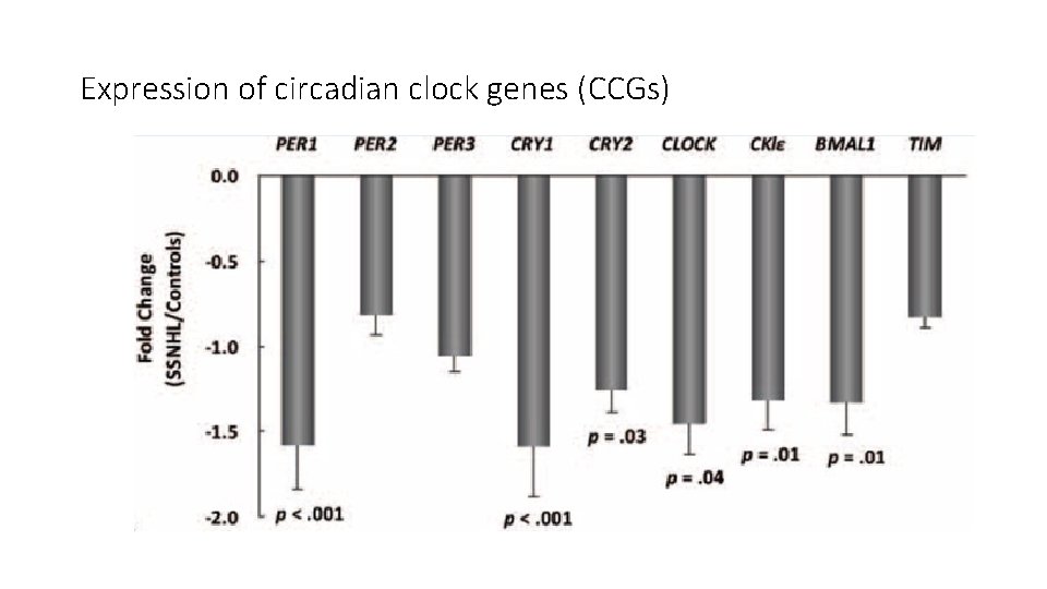 Expression of circadian clock genes (CCGs) 