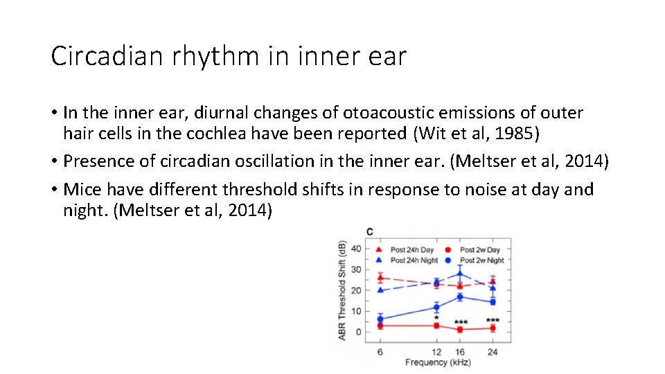 Circadian rhythm in inner ear • In the inner ear, diurnal changes of otoacoustic