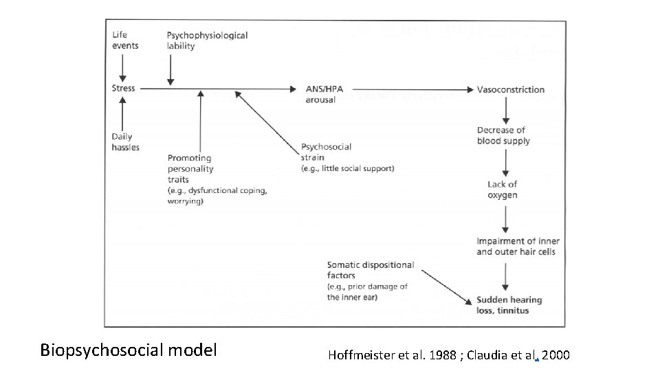 Biopsychosocial model Hoffmeister et al. 1988 ; Claudia et al. 2000 