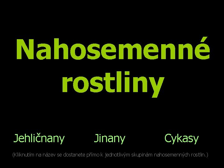 Nahosemenné rostliny Jehličnany Jinany Cykasy (Kliknutím na název se dostanete přímo k jednotlivým skupinám