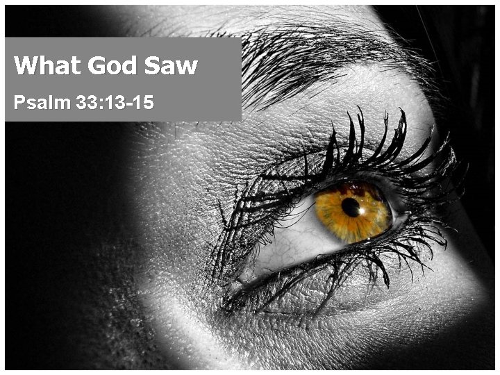 What God Saw Psalm 33: 13 -15 