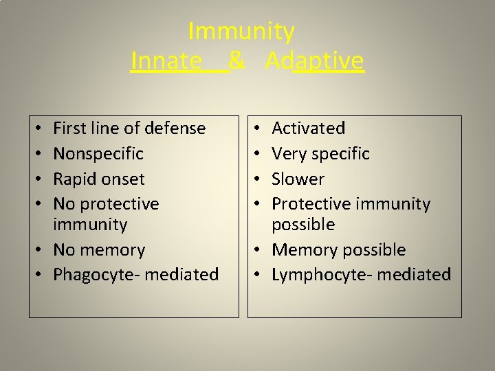 Immunity Innate & Adaptive First line of defense Nonspecific Rapid onset No protective immunity