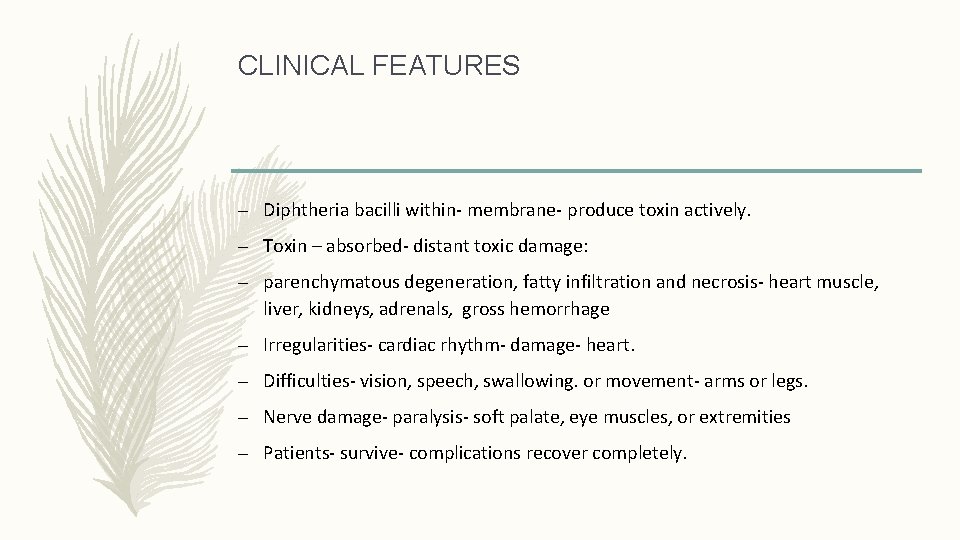 CLINICAL FEATURES – Diphtheria bacilli within- membrane- produce toxin actively. – Toxin – absorbed-