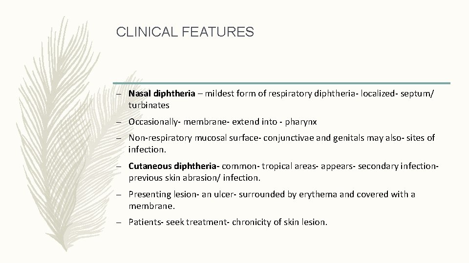 CLINICAL FEATURES – Nasal diphtheria – mildest form of respiratory diphtheria- localized- septum/ turbinates