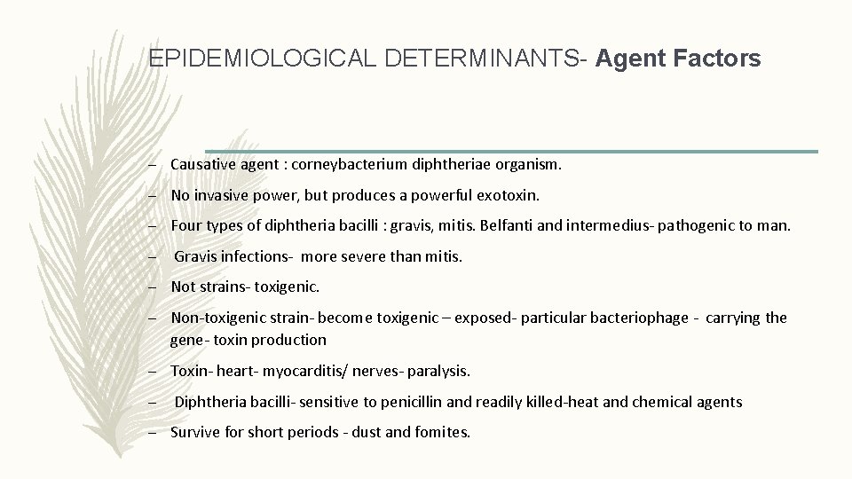 EPIDEMIOLOGICAL DETERMINANTS- Agent Factors – Causative agent : corneybacterium diphtheriae organism. – No invasive