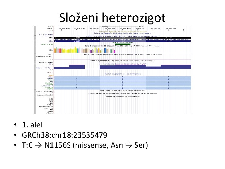 Složeni heterozigot • 1. alel • GRCh 38: chr 18: 23535479 • T: C