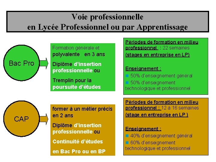 Voie professionnelle en Lycée Professionnel ou par Apprentissage Formation générale et polyvalente en 3