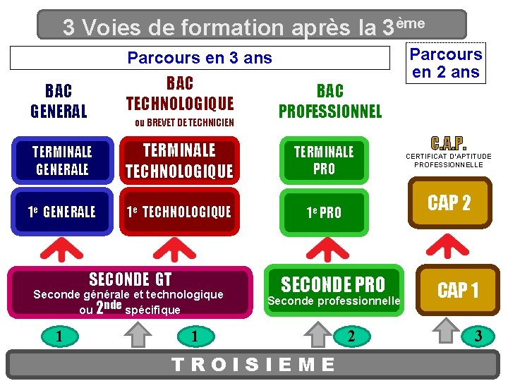 3 Voies de formation après la 3ème Parcours en 3 ans BAC TECHNOLOGIQUE BAC