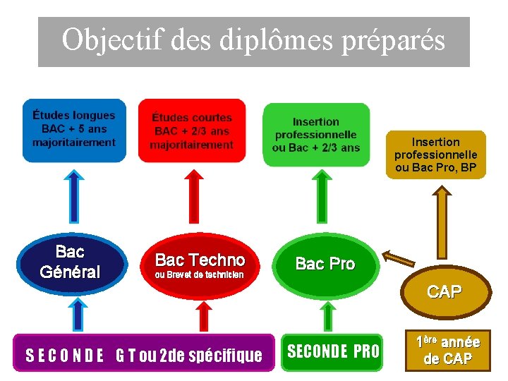 Objectif des diplômes préparés Insertion professionnelle ou Bac Pro, BP Bac Général Bac Techno