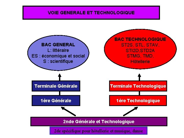 VOIE GENERALE ET TECHNOLOGIQUE BAC GENERAL L: littéraire ES : économique et social S