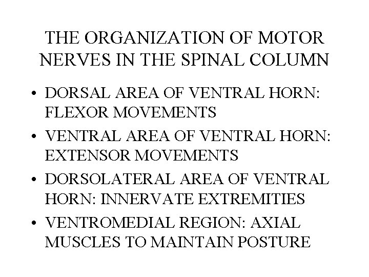 THE ORGANIZATION OF MOTOR NERVES IN THE SPINAL COLUMN • DORSAL AREA OF VENTRAL