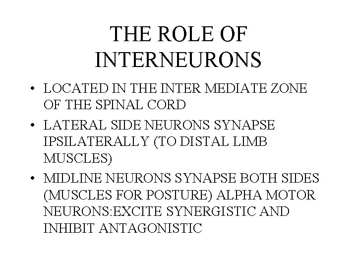 THE ROLE OF INTERNEURONS • LOCATED IN THE INTER MEDIATE ZONE OF THE SPINAL