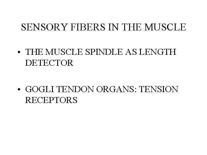 SENSORY FIBERS IN THE MUSCLE • THE MUSCLE SPINDLE AS LENGTH DETECTOR • GOGLI