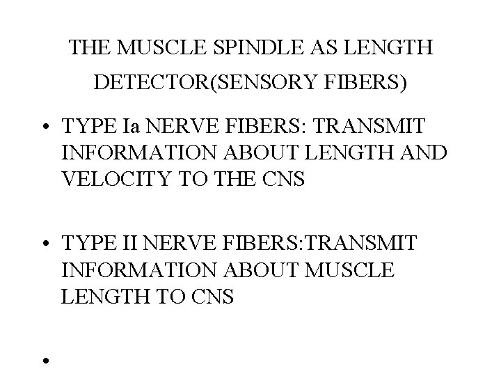 THE MUSCLE SPINDLE AS LENGTH DETECTOR(SENSORY FIBERS) • TYPE Ia NERVE FIBERS: TRANSMIT INFORMATION