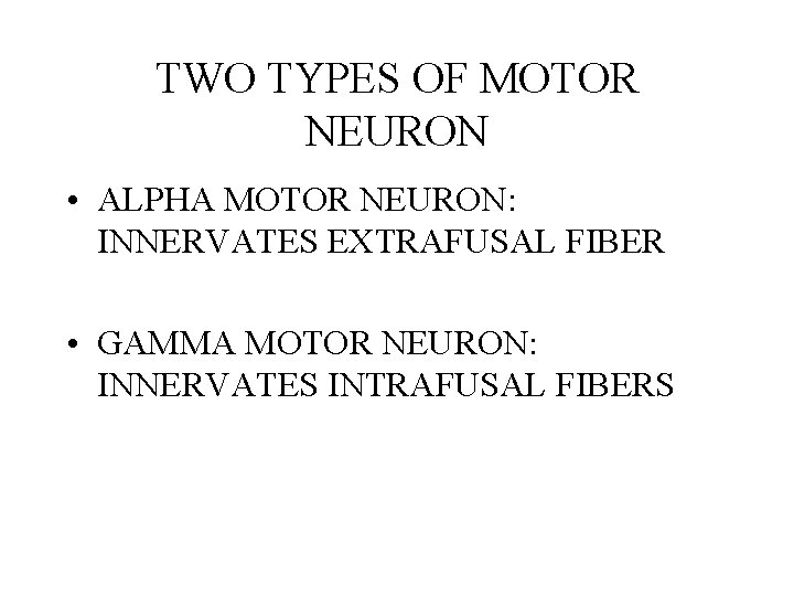 TWO TYPES OF MOTOR NEURON • ALPHA MOTOR NEURON: INNERVATES EXTRAFUSAL FIBER • GAMMA