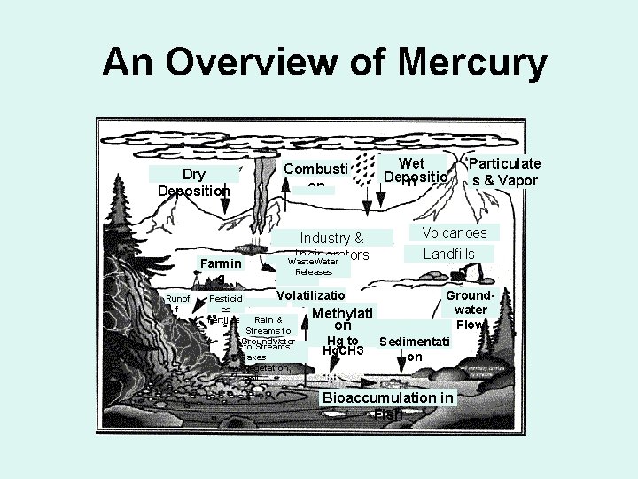 An Overview of Mercury Combusti on Dry Deposition Farmin g Runof f Pesticid es