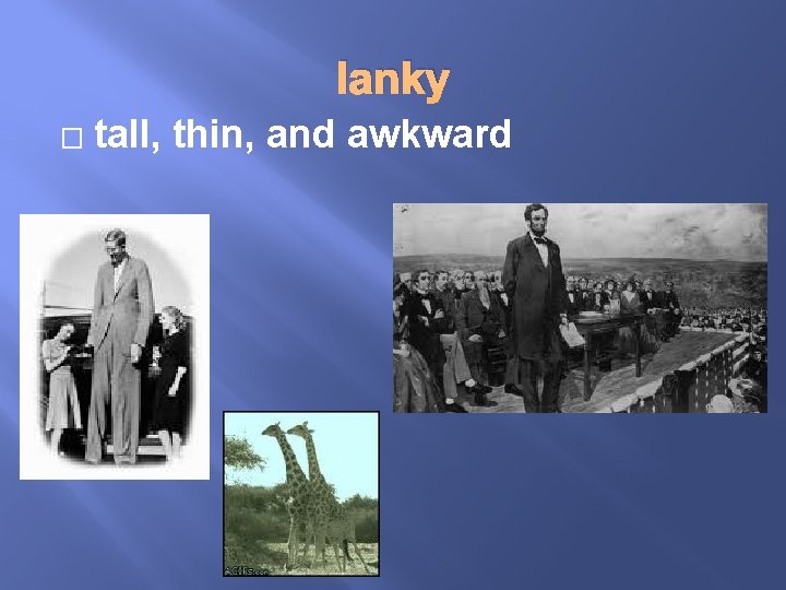 lanky � tall, thin, and awkward 