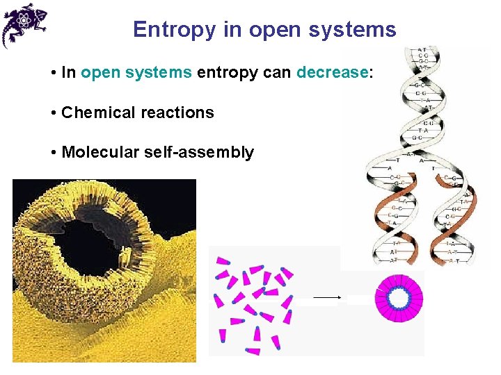 Entropy in open systems • In open systems entropy can decrease: • Chemical reactions