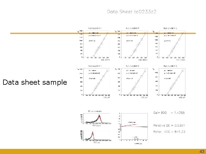 Data sheet sample 43 