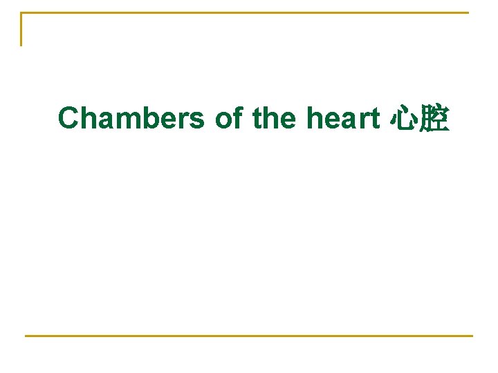 Chambers of the heart 心腔 