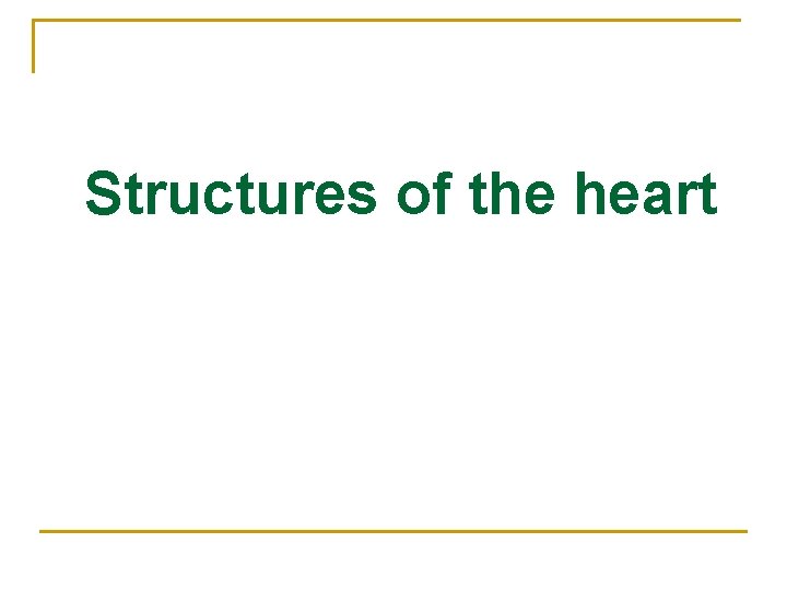 Structures of the heart 