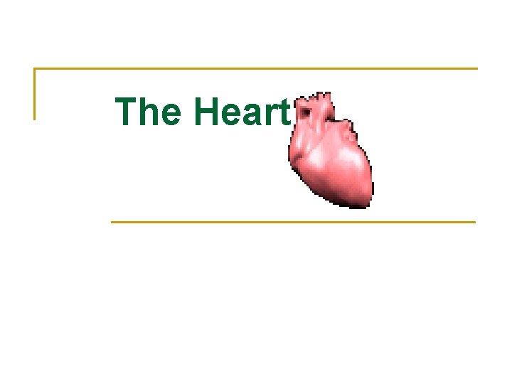 The Heart 