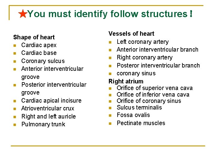 ★You must identify follow structures！ Shape of heart n Cardiac apex n Cardiac base