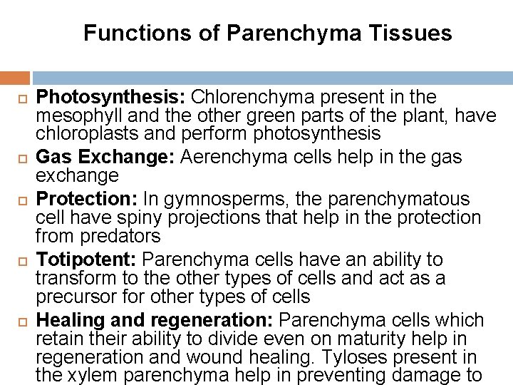 Functions of Parenchyma Tissues Photosynthesis: Chlorenchyma present in the mesophyll and the other green