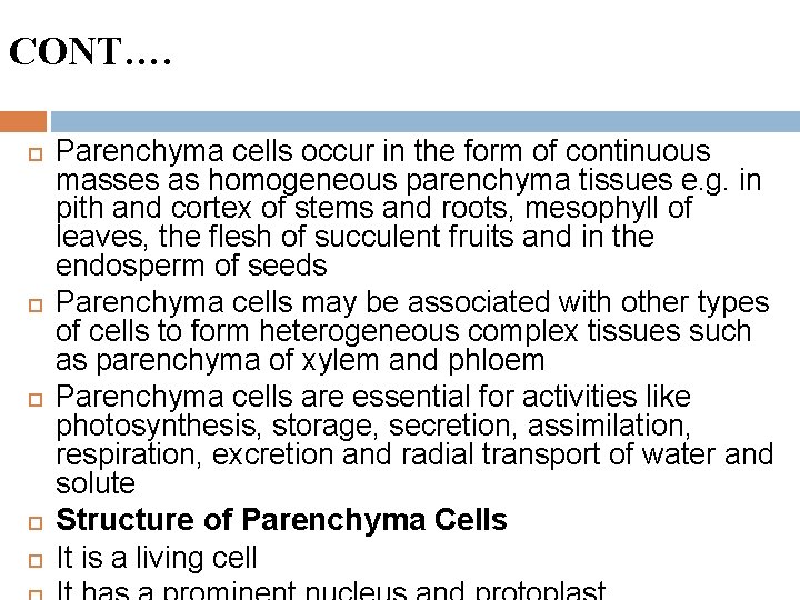 CONT…. Parenchyma cells occur in the form of continuous masses as homogeneous parenchyma tissues