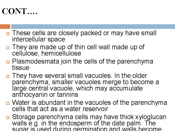 CONT…. These cells are closely packed or may have small intercellular space They are