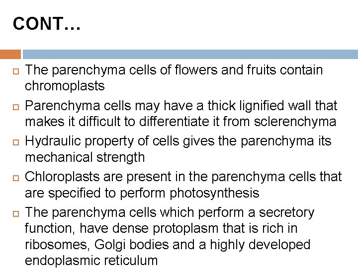 CONT… The parenchyma cells of flowers and fruits contain chromoplasts Parenchyma cells may have