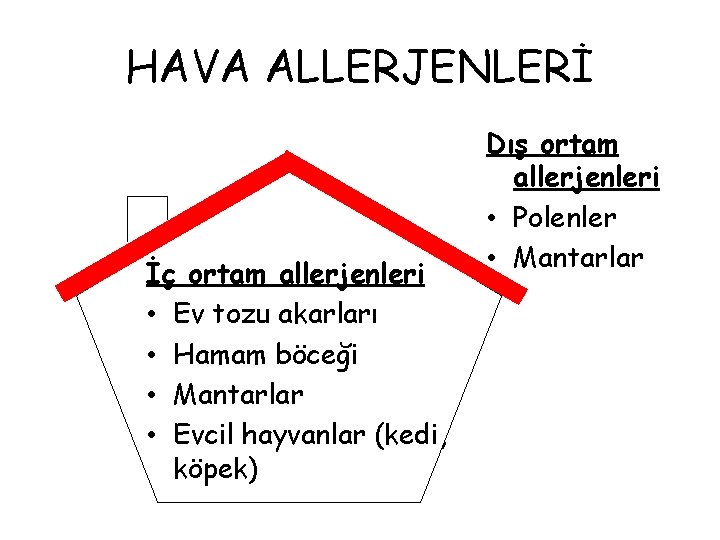 HAVA ALLERJENLERİ İç ortam allerjenleri • Ev tozu akarları • Hamam böceği • Mantarlar