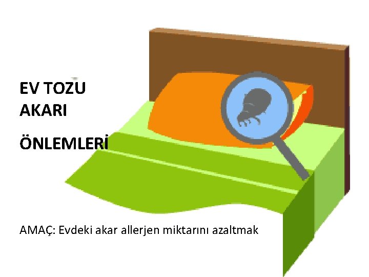 EV TOZU AKARI ÖNLEMLERİ AMAÇ: Evdeki akar allerjen miktarını azaltmak 