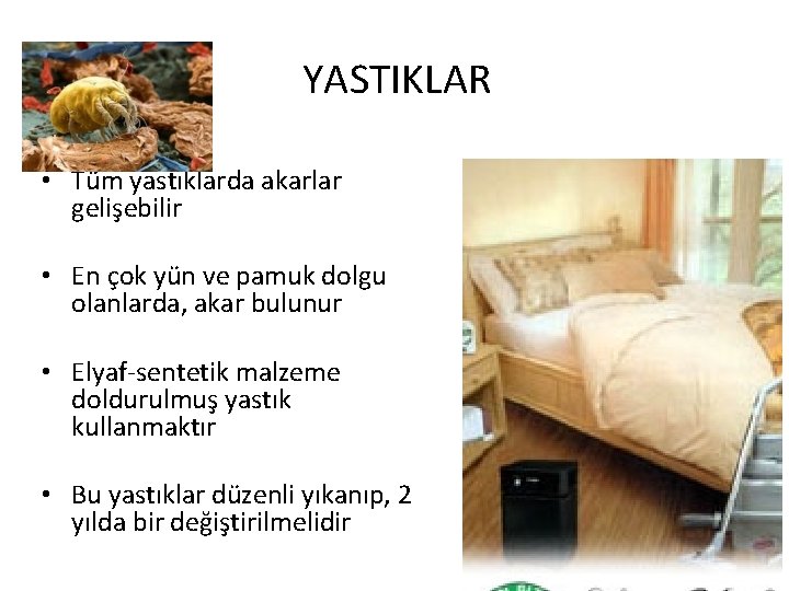 YASTIKLAR • Tüm yastıklarda akarlar gelişebilir • En çok yün ve pamuk dolgu olanlarda,