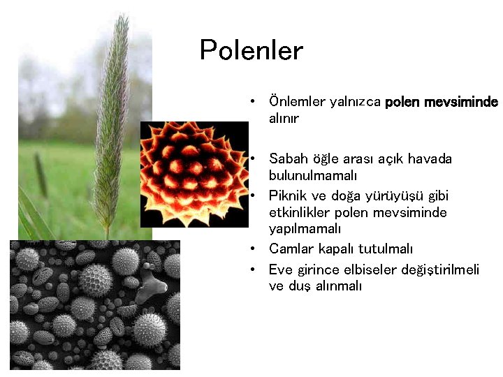 Polenler • Önlemler yalnızca polen mevsiminde alınır • Sabah öğle arası açık havada bulunulmamalı